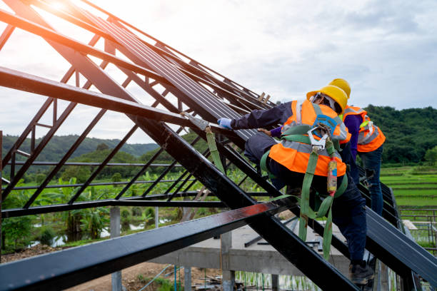 Best Roof Gutter Cleaning  in Hewlett Harbor, NY